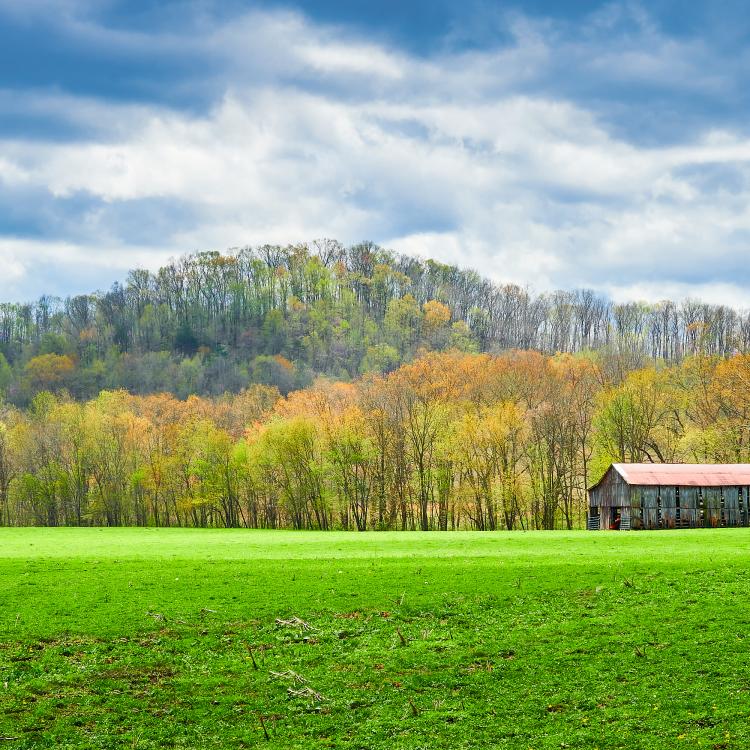  Barn in field 