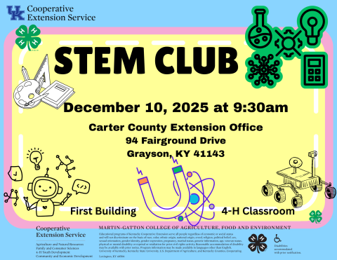STEM Club December